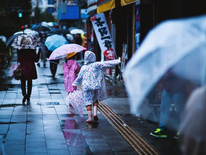 雨の日にレインウェアを着た子供の後ろ姿