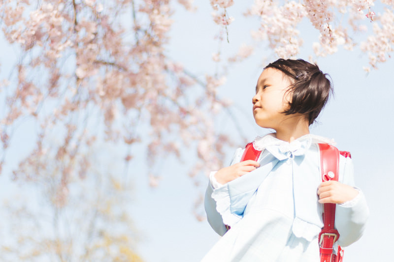 桜の下でランドセルを背負う女の子