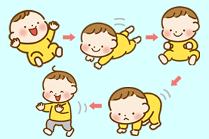 赤ちゃんが成長していく様子