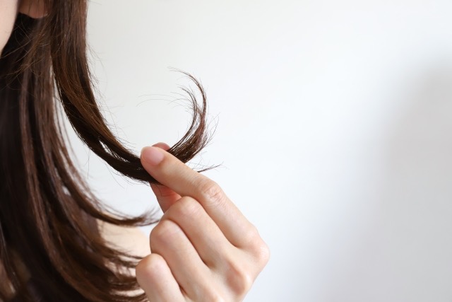 痛んだ毛先を持って気にする女性の手