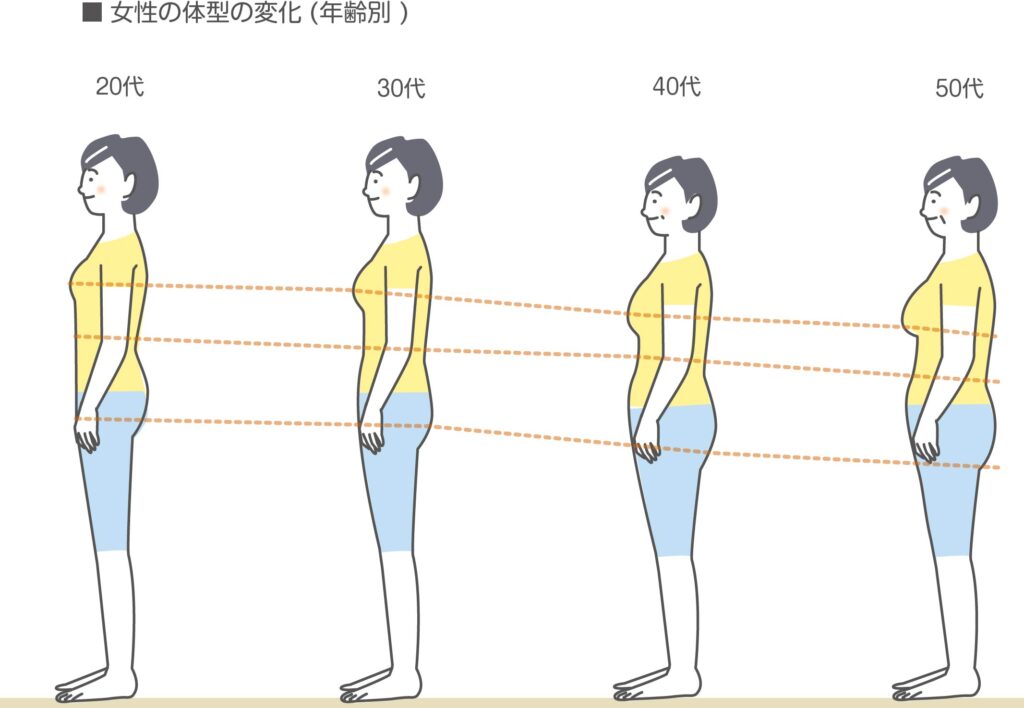 女性の体型変化