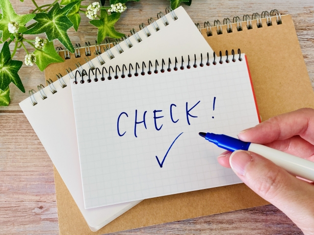 チェックポイント青ペン