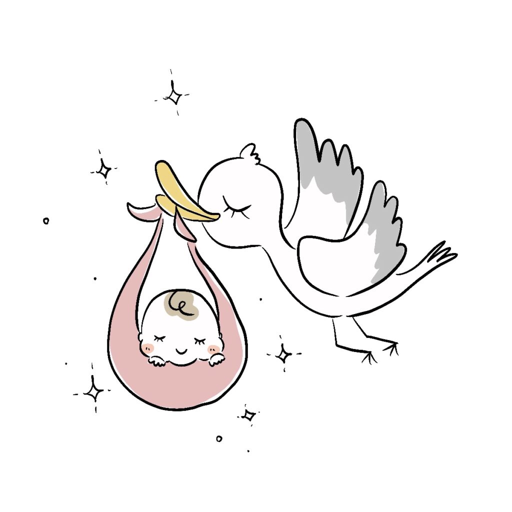 赤ちゃんを運ぶコウノトリ