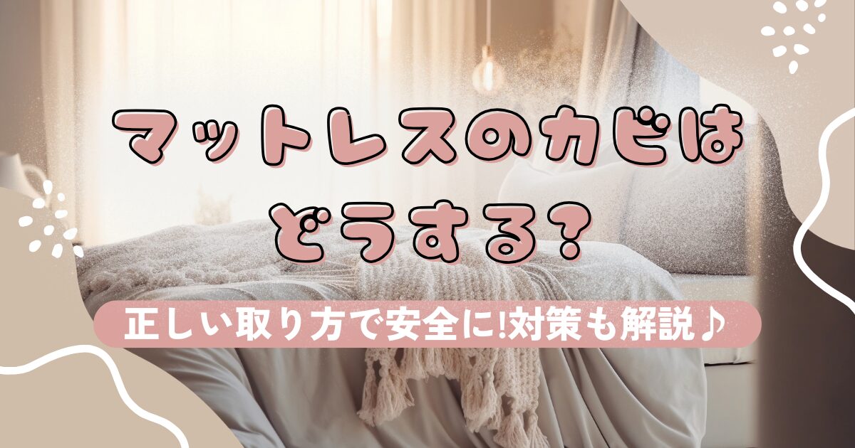 マットレスのカビはどうする?