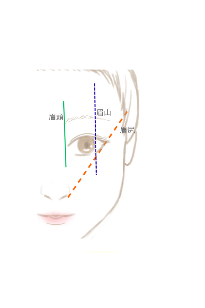 眉毛を整える図